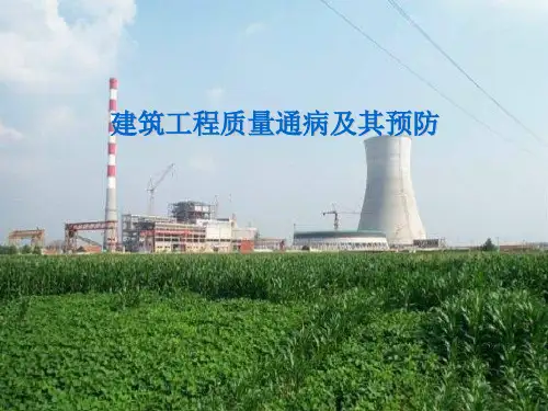 建筑工程质量通病及其预防.ppt