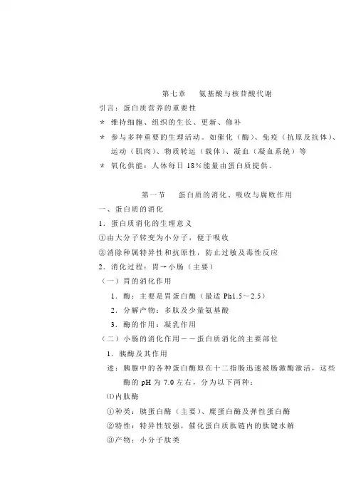 蛋白质的消化、吸收与腐败作用