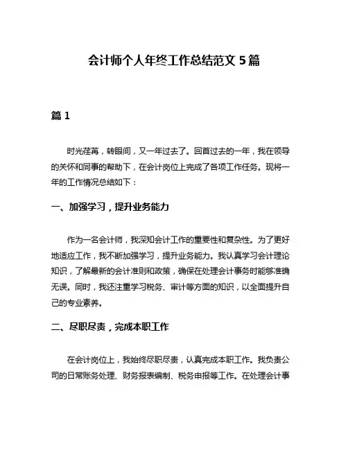 会计师个人年终工作总结范文5篇