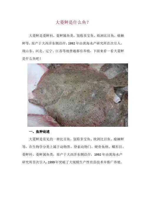 大菱鲆是什么鱼？