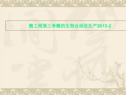 酶工程第三章酶的生物合成法生产2013-2