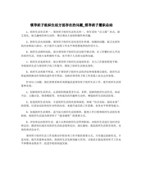 领导班子组织生活方面存在的问题_领导班子履职总结