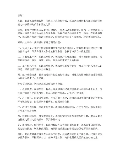 供电所违反廉洁自律检讨书