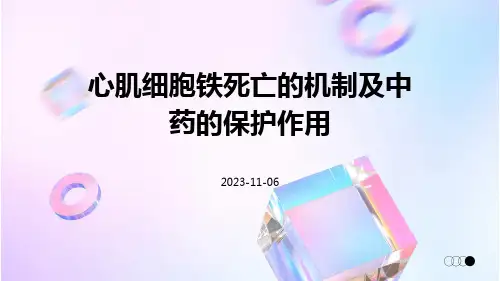 心肌细胞铁死亡的机制及中药的保护作用