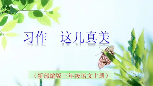 《习作这儿真美》PPT课件