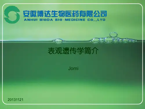 表观遗传学简介