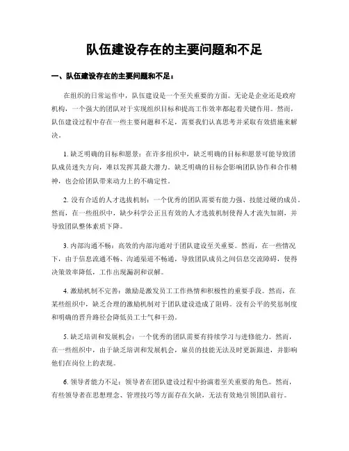 队伍建设存在的主要问题和不足