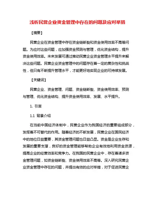 浅析民营企业资金管理中存在的问题及应对举措