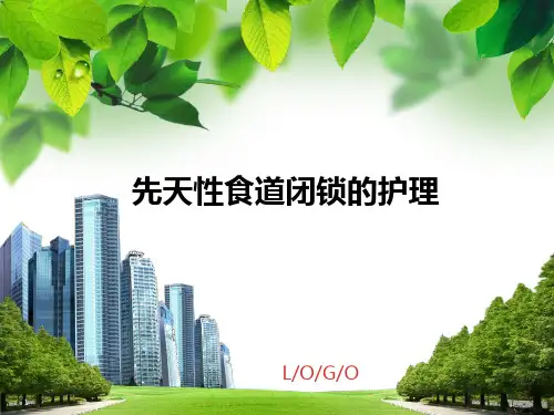 先天性食道闭锁患儿的护理PPT课件