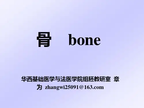 第5章 软骨与骨