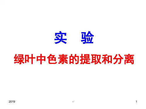 实验绿叶中色素的提取和分离ppt课件