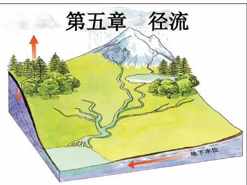 水文学 第05章 径流精品PPT课件