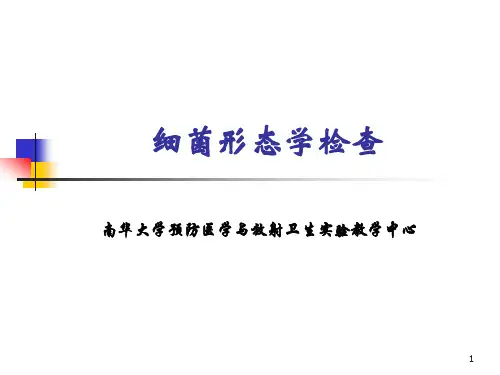细菌形态学检查汇总PPT课件