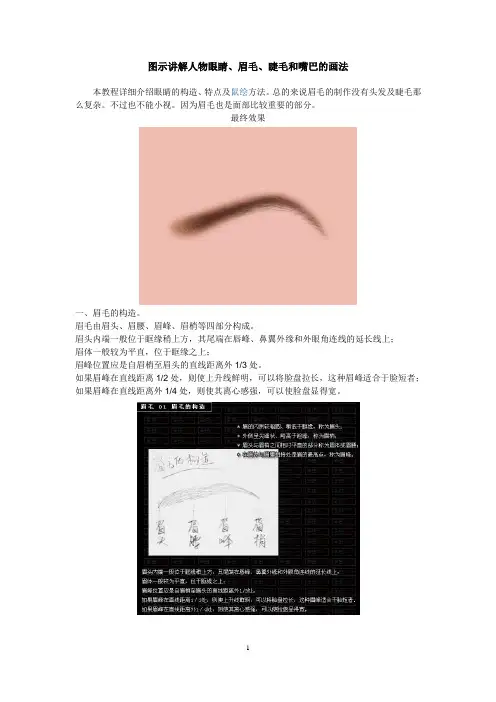 绘画人物眉毛的详细讲解教程
