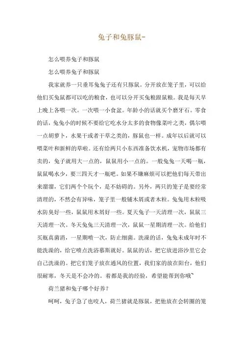 兔子和兔豚鼠--怎么喂养兔子和豚鼠