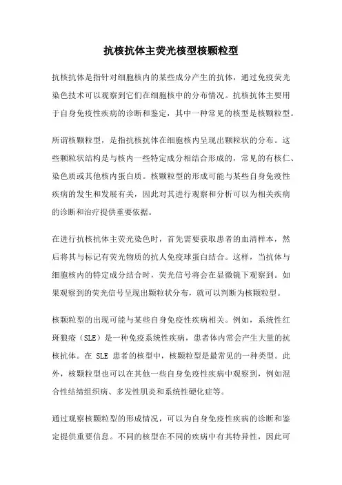 抗核抗体主荧光核型核颗粒型
