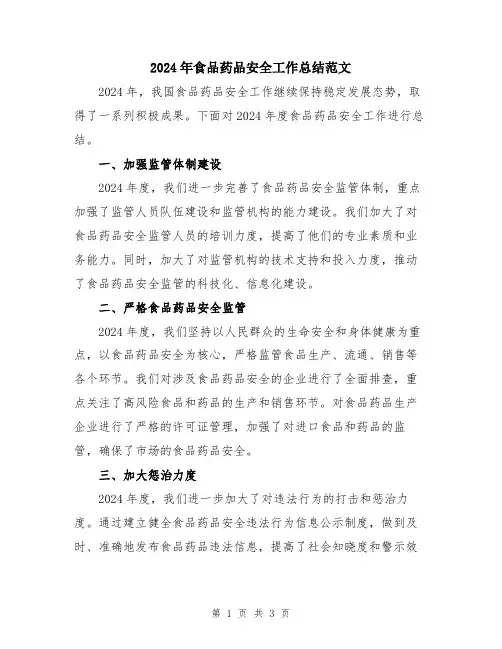 2024年食品药品安全工作总结范文