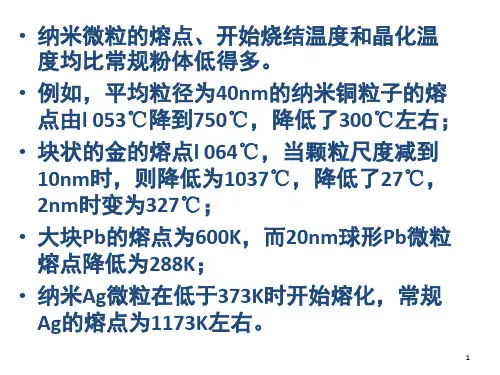 纳米粒子的特性课堂PPT