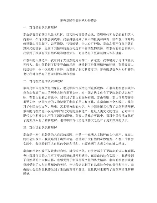 泰山景区社会实践心得体会