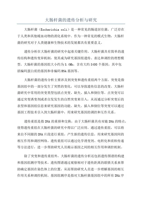 大肠杆菌的遗传分析与研究