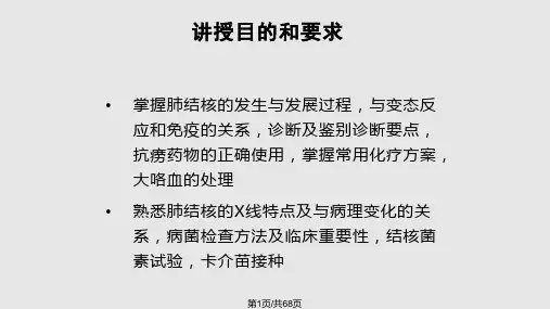 肺结核课件详解PPT课件