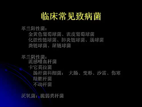 肺部感染时抗生素的临床应用ppt课件