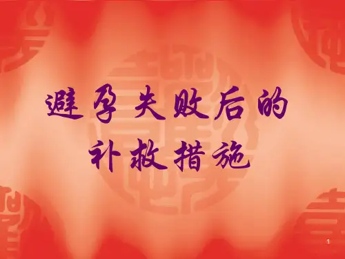 药物流产PPT参考幻灯片
