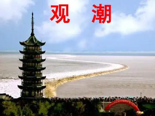 《观潮》ppt课件