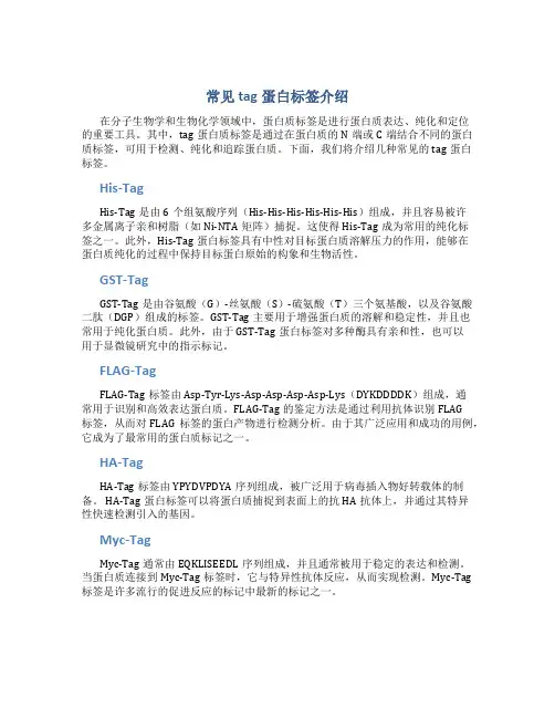 常见tag蛋白标签介绍