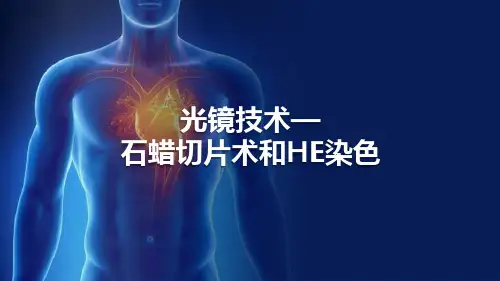 组织胚胎学研究方法和技术—石蜡切片与HE染色