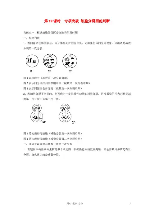 高考生物一轮复习 第19课时 专项突破 细胞分裂图的判断精品学案