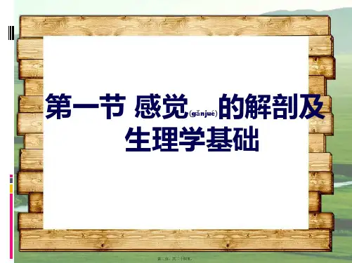 202X年感觉障碍及评定
