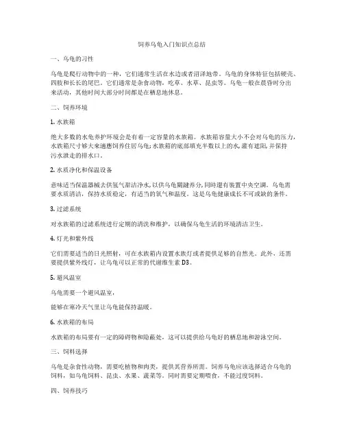 饲养乌龟入门知识点总结