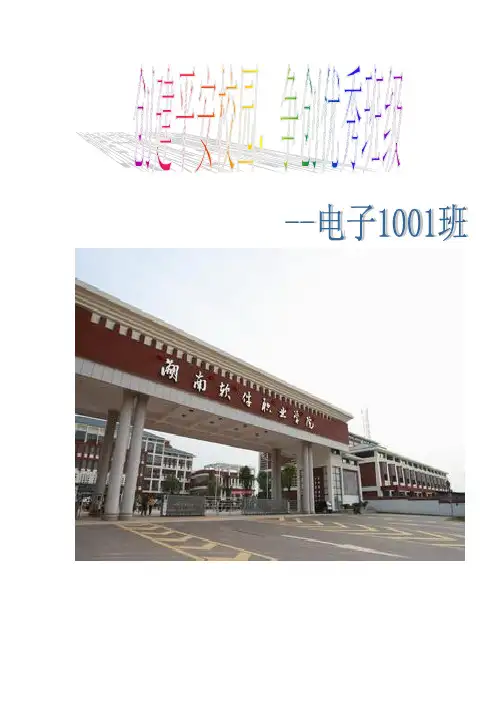 百日平安校园-电子1001班