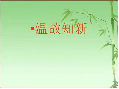 人教版九年级历史上册第16课 殖民地人民的抗争 课件 (共31张)
