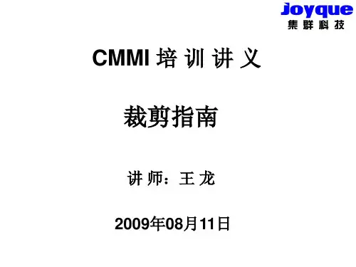 CMMI培训讲义(裁剪指南)