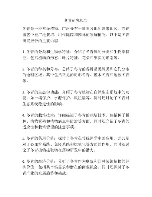 冬青研究报告
