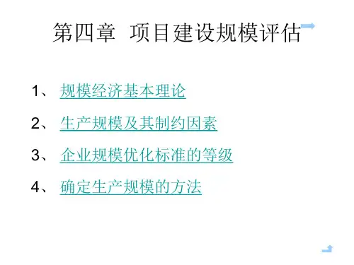 生产规模的确定