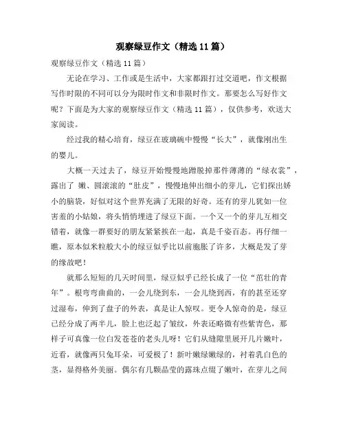 观察绿豆作文(精选11篇)