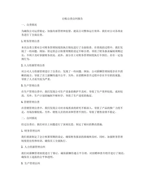 台账自查自纠报告