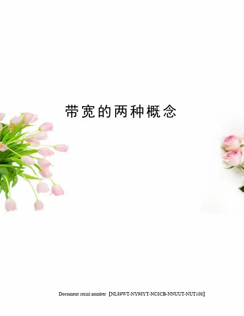 带宽的两种概念