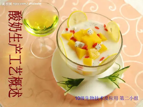 酸奶生产工艺概述