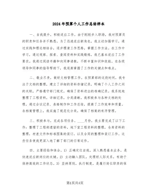 2024年预算个人工作总结样本（二篇）