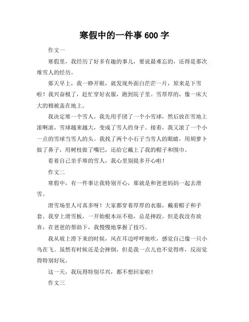寒假中的一件事600字
