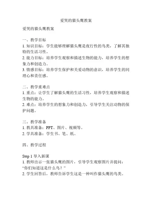 爱哭的猫头鹰教案