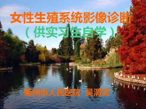 女性生殖系统影像诊断PPT课件
