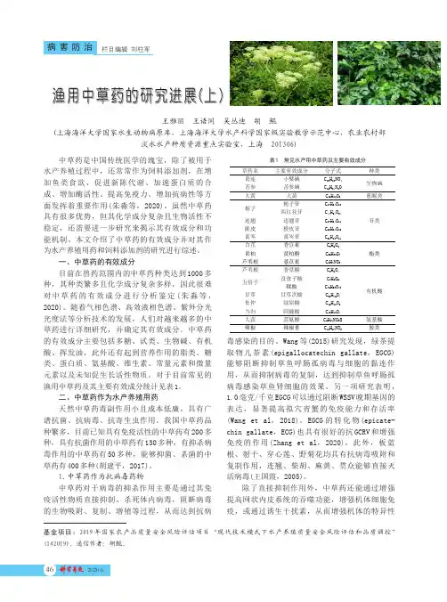 渔用中草药的研究进展(上)