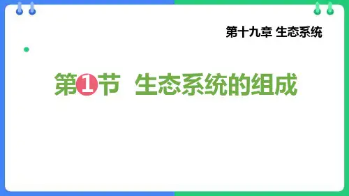 《生态系统的组成》PPT优秀课件