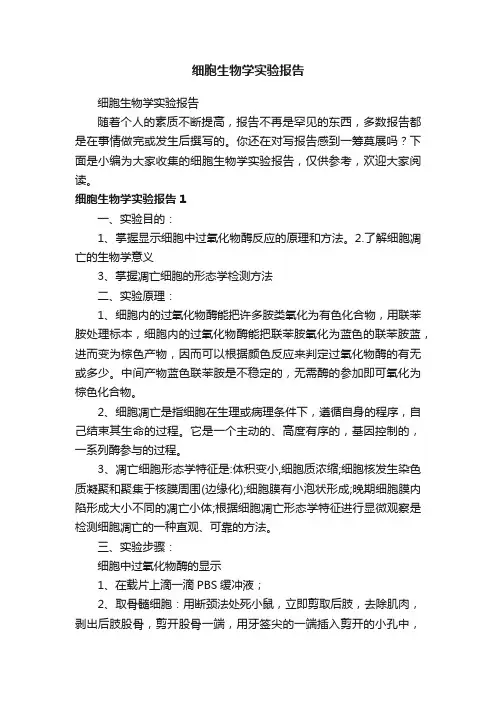 细胞生物学实验报告