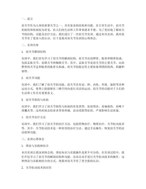 肩关节实训报告心得体会